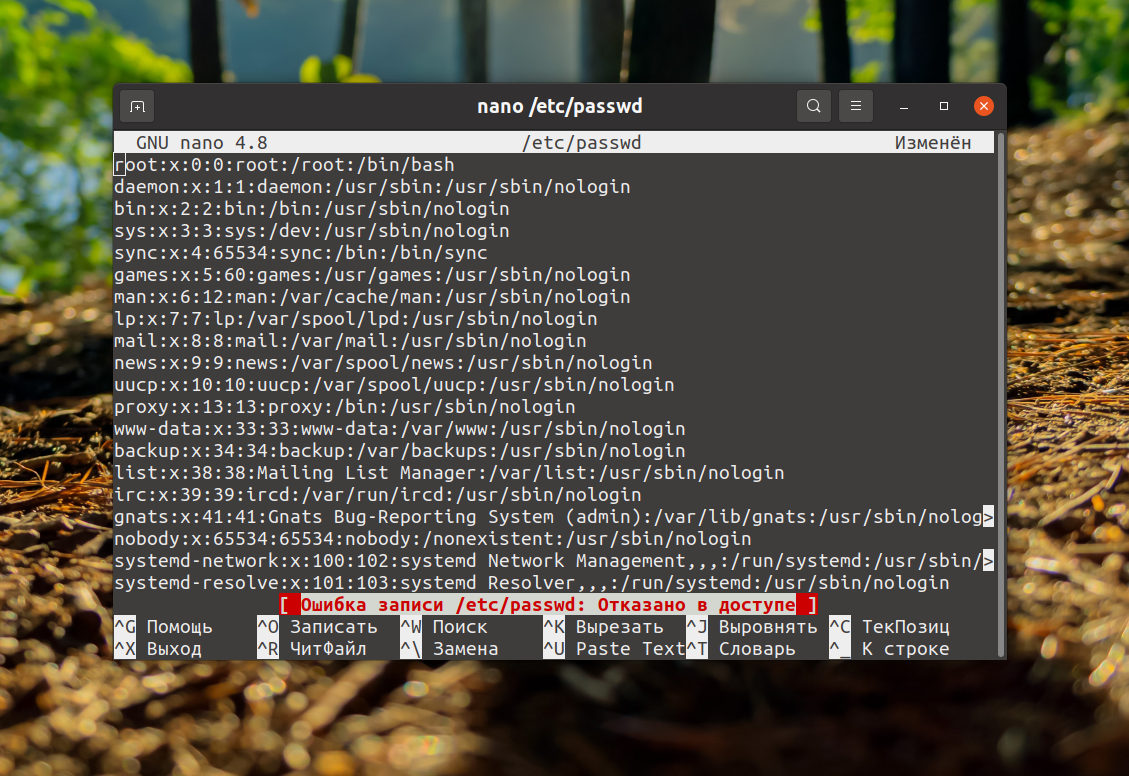 Как создать и отредактировать текстовый файл с помощью терминала в linux