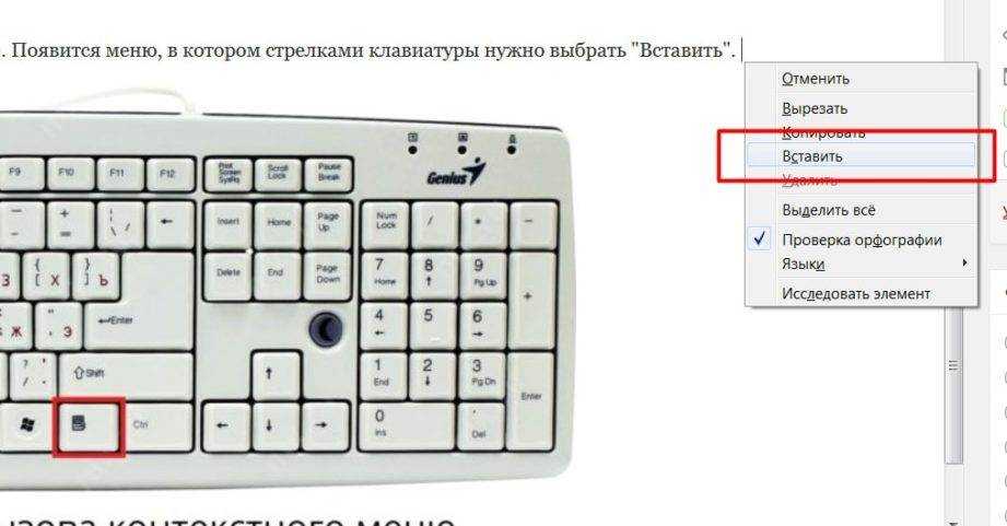 Как копировать и вставлять текст с помощью клавиатуры: несколько способов