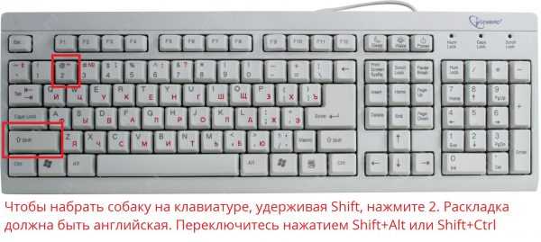Как поставить собаку на клавиатуре в майнкрафт