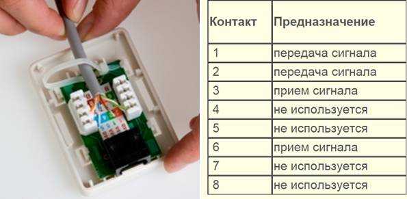 Принцип установки интернет розетки, схемы и ошибки при подключении
