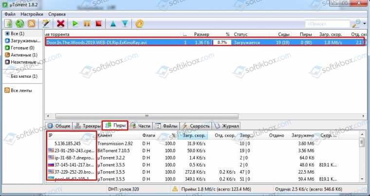 Что такое сиды и пиры в torrent-клиенте