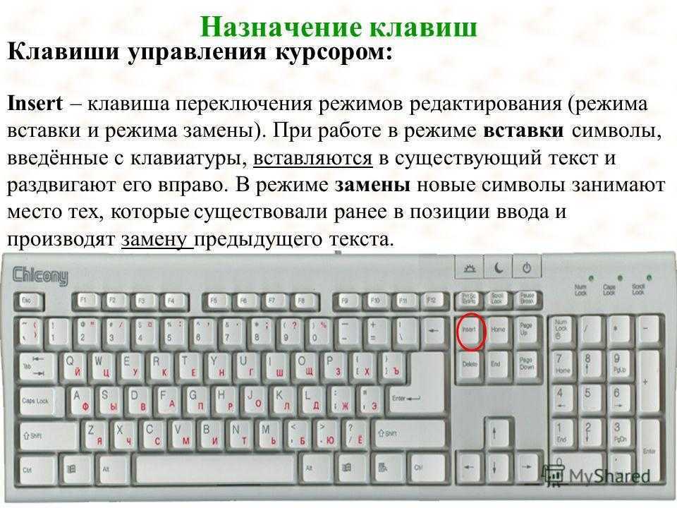 Нужно нажать нужную кнопку. Назначение клавиш. Распорядок кнопок на клавиатуре. Предназначение клавиатуры. Управление клавишами клавиатуры.