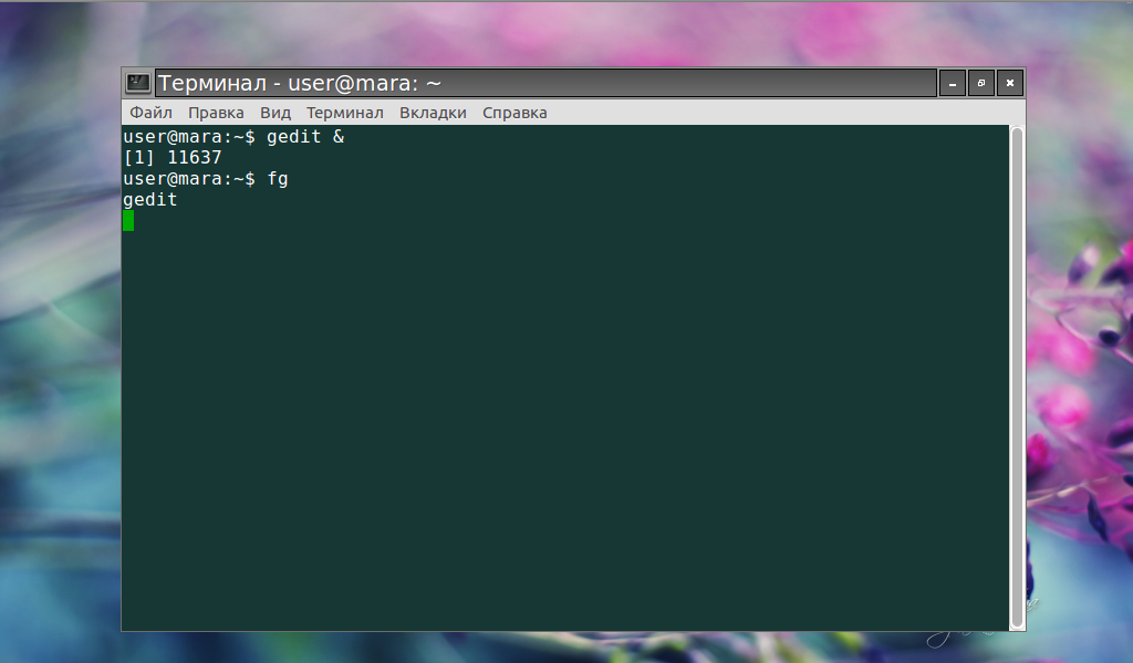 Команды управления файлами и папками в linux