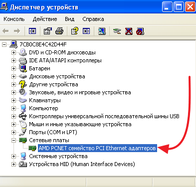 Как выбрать сетевую карту. что такое сетевая карта