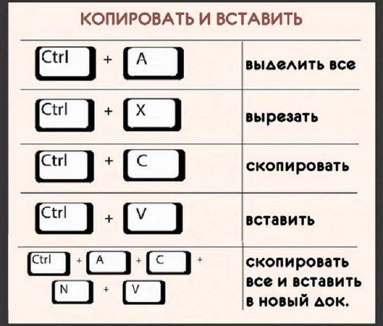 Как выбрать или выделить несколько файлов и папок