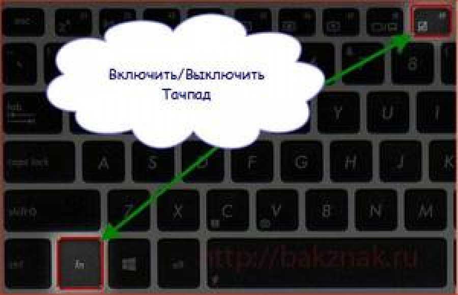 О том, как включить тачпад на ноутбуке HP, Lenovo, ASUS, MSI, DELL или ACER Комбинации клавиш на клавиатуре, настройки в Панели управления и BIOS