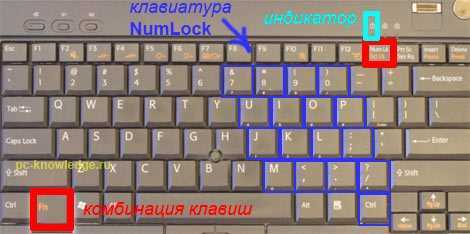 Почему на ноутбуке клавиатура печатает цифрами